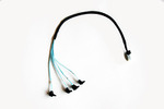 (SFF-8087)   sata(SFF-8448)-0,5M -$17